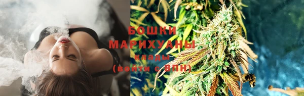 mdma Богородицк